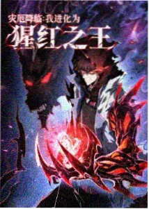 高达星辰之泪